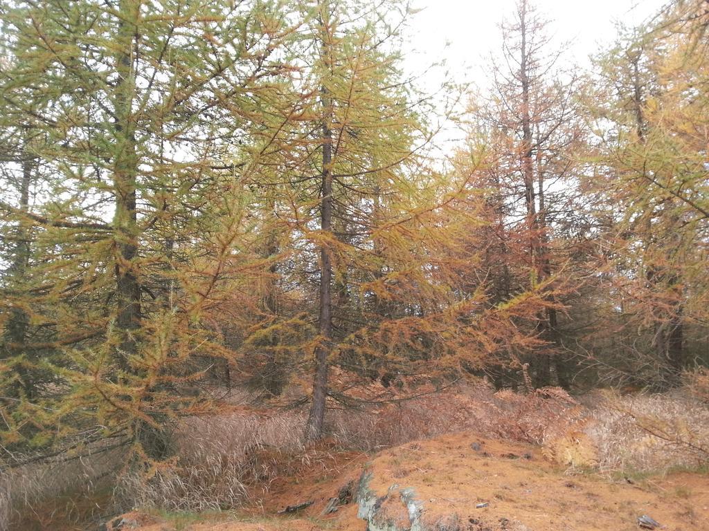 Sneznik Hotel Luaran gambar